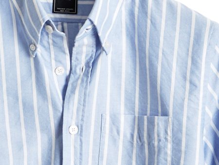 Bold Stripe Oxford Shirt in Light Blue Online now