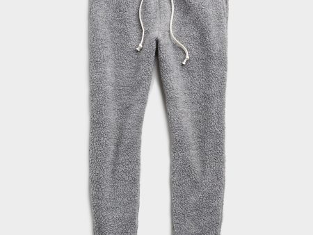 Polartec Sweatpant in Alloy Online now