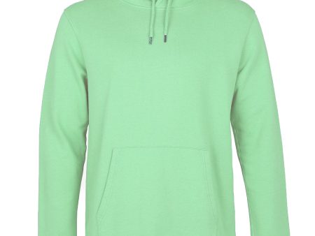 Colorful Standard Hood faded mint Online Sale