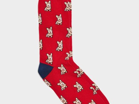 Corgi Corgi Socks in Red Online now