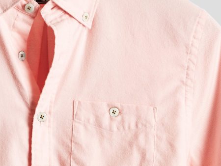 Brushed Cotton Cashmere Twill Shirt in Pink on Sale