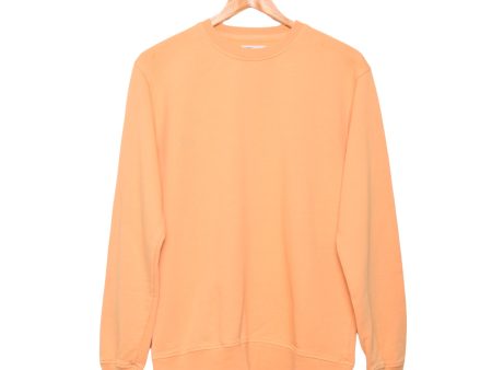 Colorful Standard Crew Sweat sandstone orange Online now