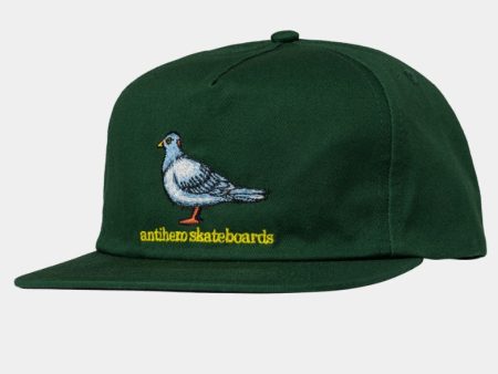 ANTIHERO LIL PIGEON SNAPBACK HAT Hot on Sale