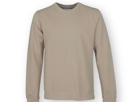 Colorful Standard Crew Sweat oyster grey For Discount