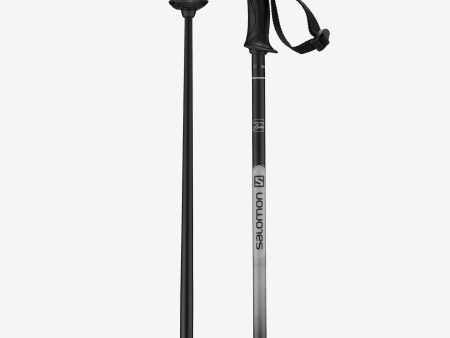 SALOMON NORTHPOLE LADY SKI POLES Supply