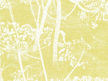 Cole & Son Wallpaper 66 7051.CS Cow Parsley White Y For Cheap